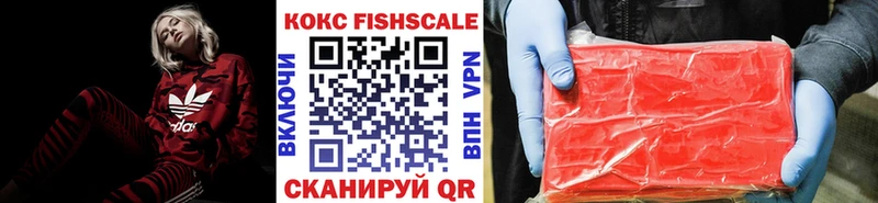 маркетплейс официальный сайт  Новоалтайск  Кокаин FishScale 