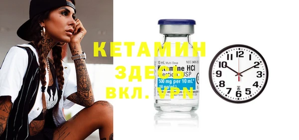 шишки Пестово