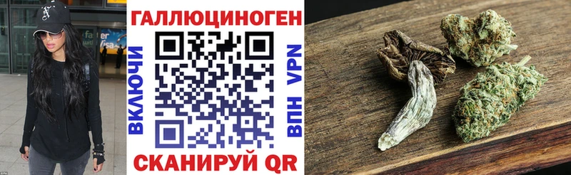 Псилоцибиновые грибы прущие грибы  Новоалтайск 